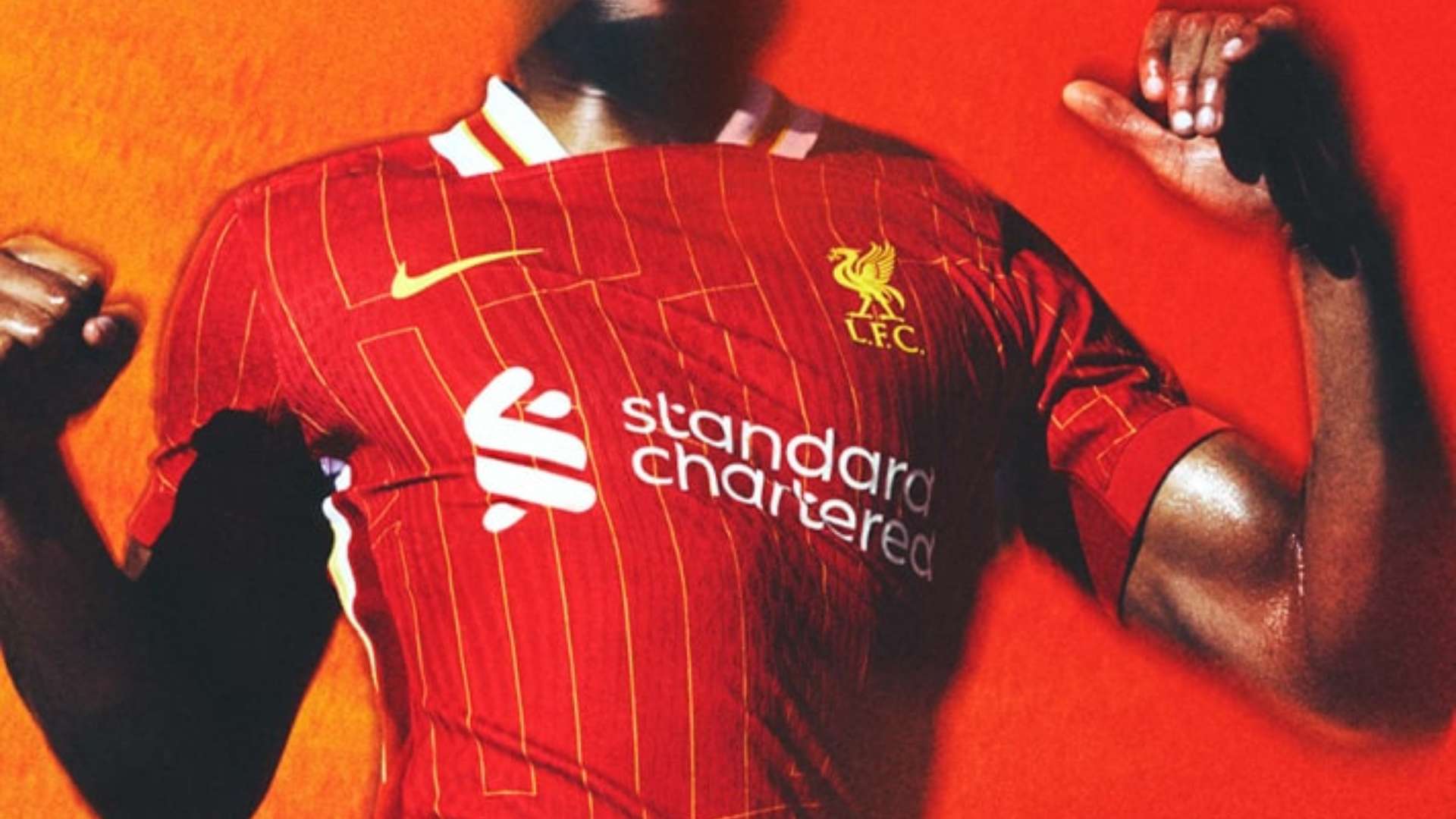 这些都是中 这些都是中